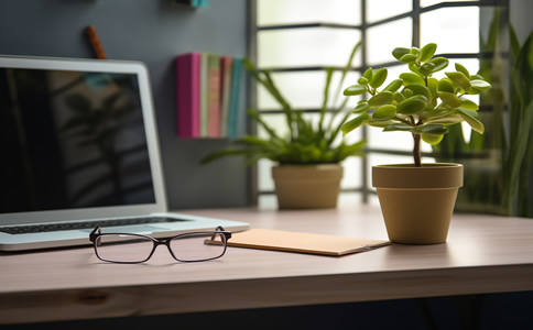 代辦三亞公司注冊(cè)的好處